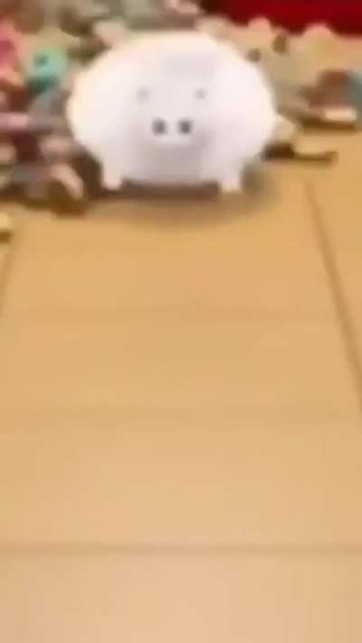 Broken Coral got me like