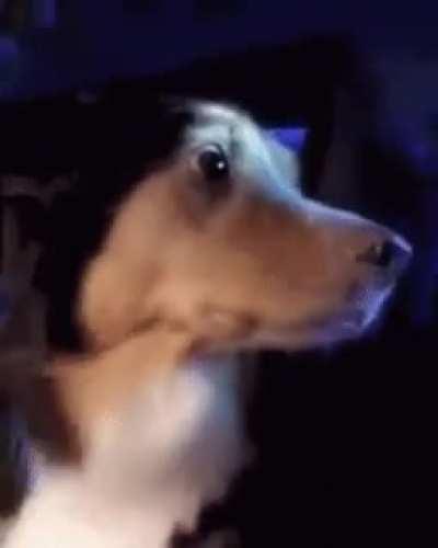 pegaram a gente roberto