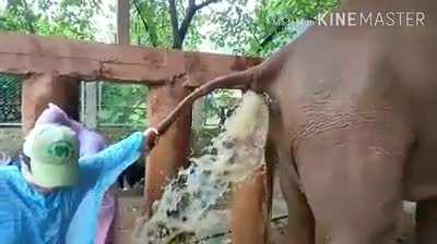 Slow-mo которое мы заслужили.