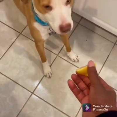 What the heck was that!?