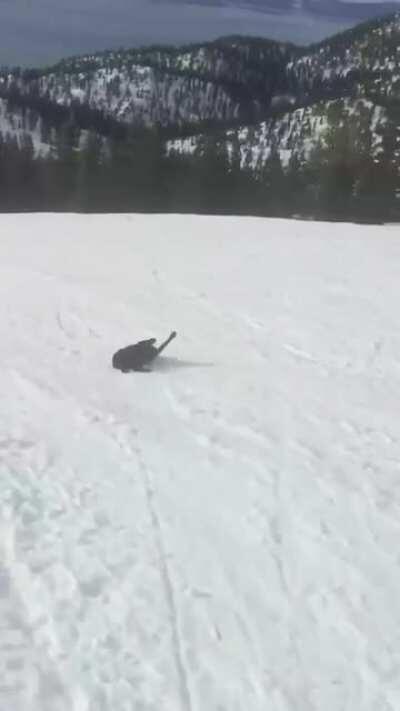sliding down snow