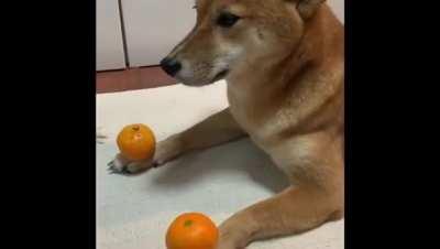 Thx for all the votes I thought this is kinda funny