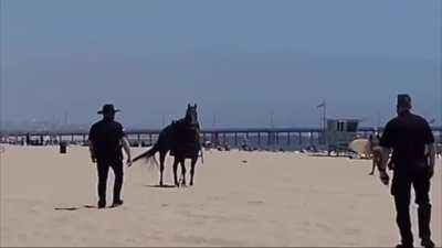 LAPD horseback cop’s horse decides to clock-in early