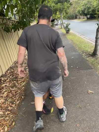 Witnessed this morning 