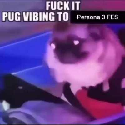 Koromaru do being vibing tho