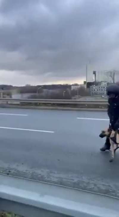 German police attacking anti-AfD protesters!