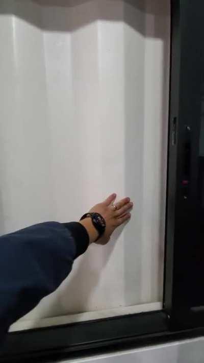 They relocated my (container) office and this is now my new window view.