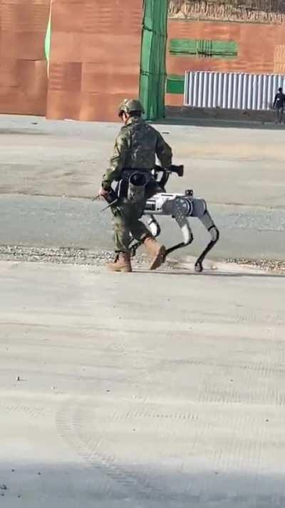 Beware Chinabros who ate dog meat, revenge is coming 