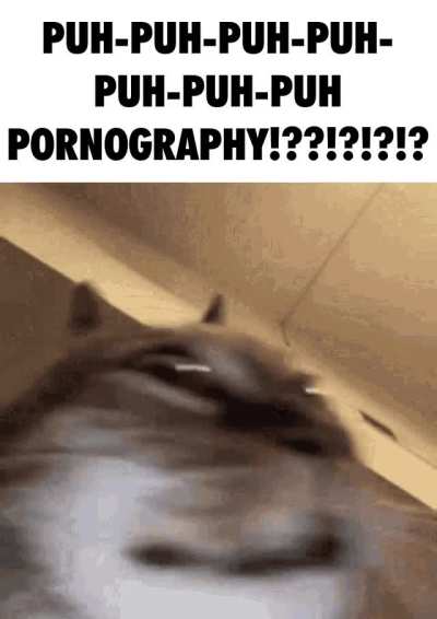 ADULT FILMOGRAPHY?! EROTIC MEDIA?!? SEXUALLY EXPLICIT MATERIAL?!?!