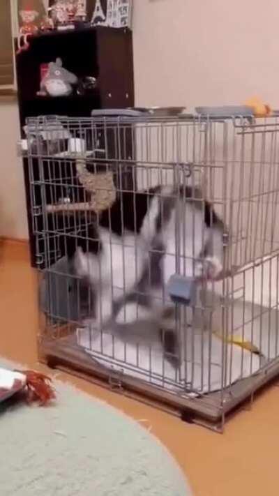 A new energy source has been found