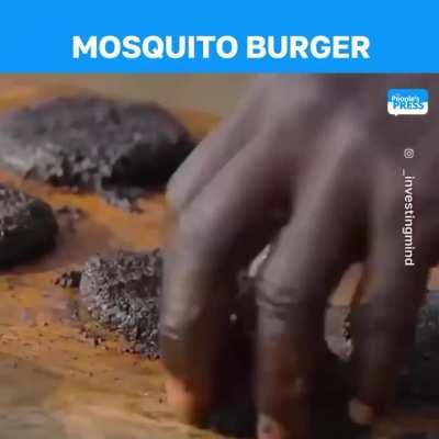A mosquito burger