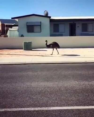 Foi mal, me empolguei