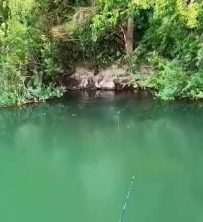 Wow‼️ just WOW‼️🤯🤯🤯