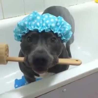 Bath time for this little sweety 🥰🥰❤️