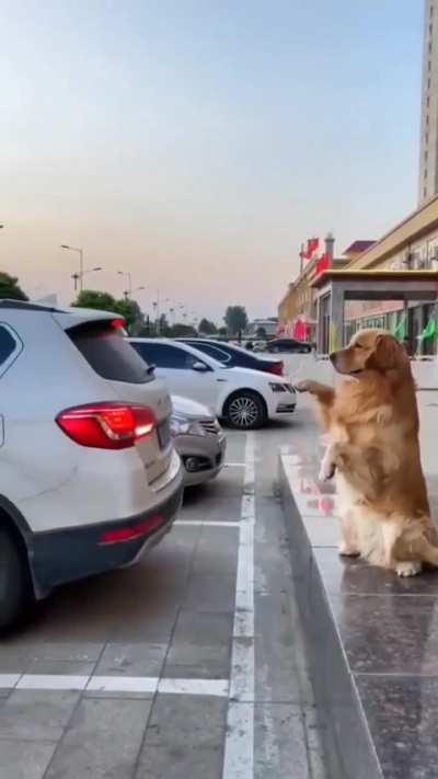 Don't worry about backing up. If you hit it, it'll sound an alarm.