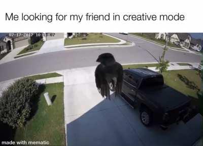 Still haven’t found him