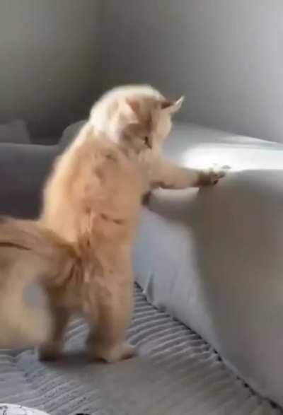 He is surprised to see that fish...