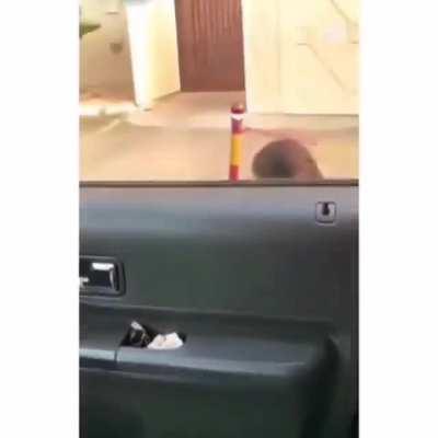 god bless her 😭❤️❤️