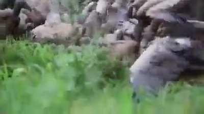 when the wind is slow and the fires hot