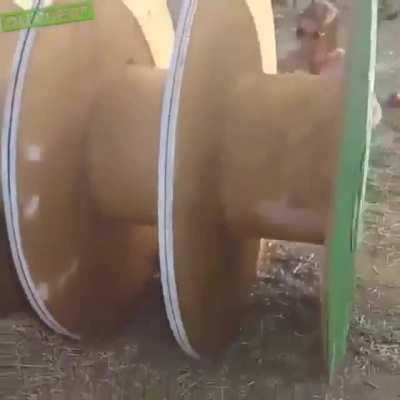 Viewer discretion is advised