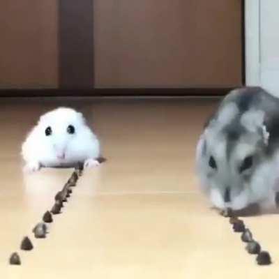 Some slow lofi type music, probably 2010+