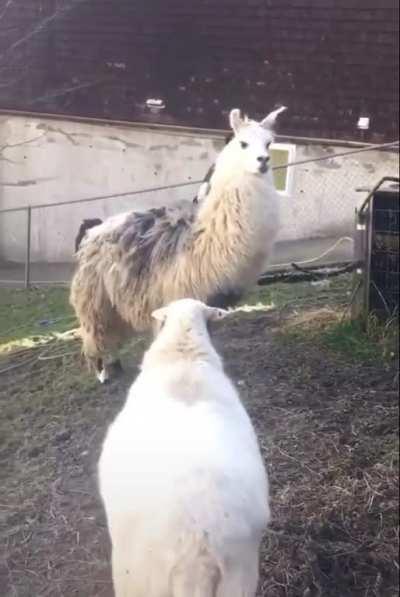 it’s time for a new era