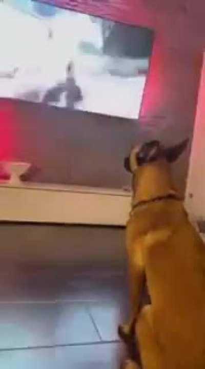 Nice Game You Got There...