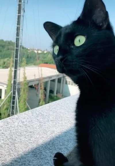 i’m gonna kill her