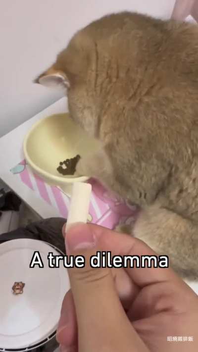 he was stressing 😭