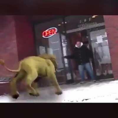 Animal planet com animação do SENAI: