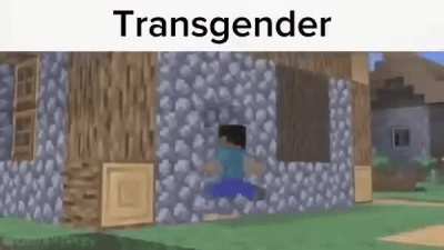 Whenthe gender assignment surgery: in Minecraft: