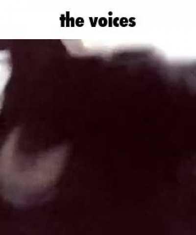 😬😬😬😬😬😬😬😬😬😬😬