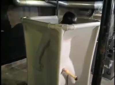 Всегда так делаю.