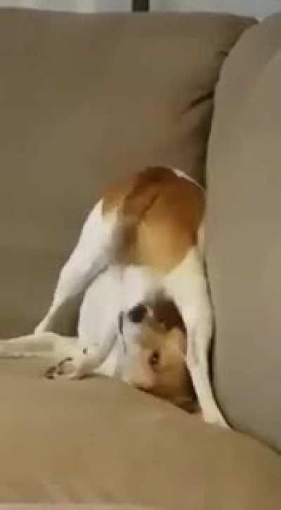 He is little bit special