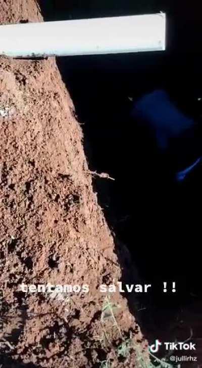 Ufa! Salvaram o bichinho!