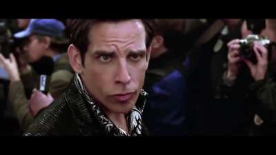 There can only be one cute shark 