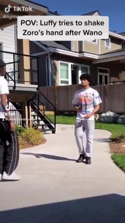 Luffy and Zoro suffering from Success :(