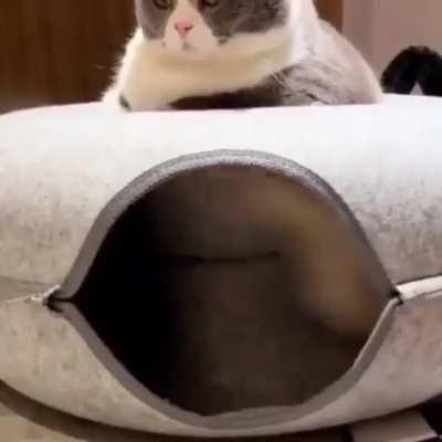 Tom doesn't understand what's going on