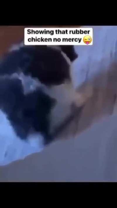 Chocking the chicken 