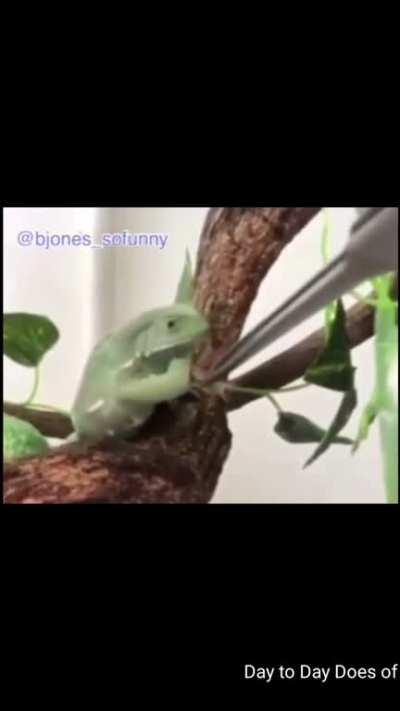 How to Destroy a Childs Hopes and Dreams