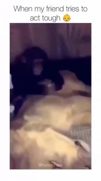 He deserve This Slap