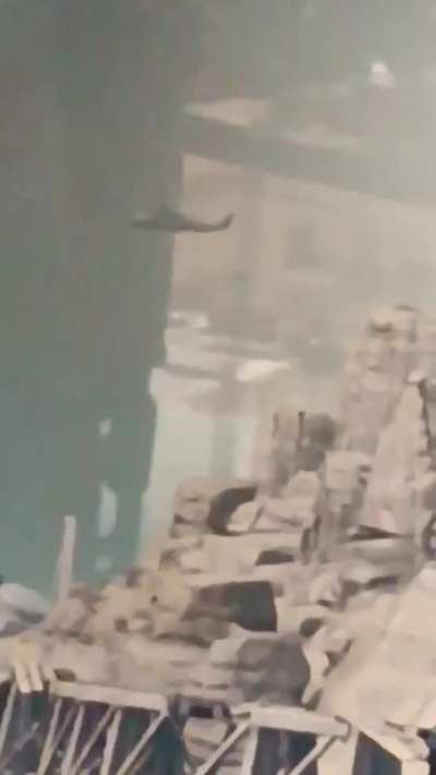 Is it a bug, or did they simply not care about the background?