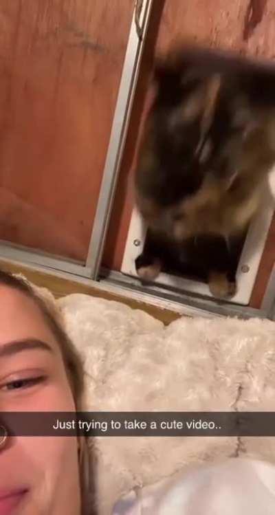 Taking a video near the cat door