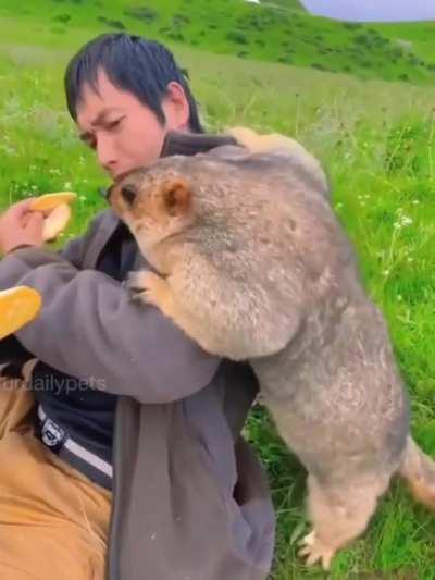 Not a squirrel but this fatass my as well be one, why's this obese thug robbing ppl of their food!??