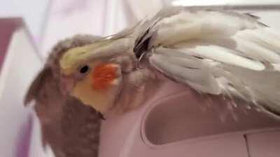 Fluffed up on the air purifier