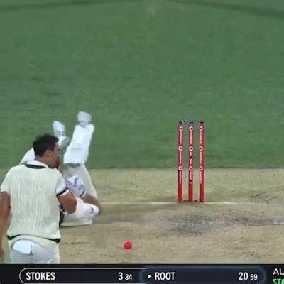 Joe Root productions presents man getting hit by cricket ball