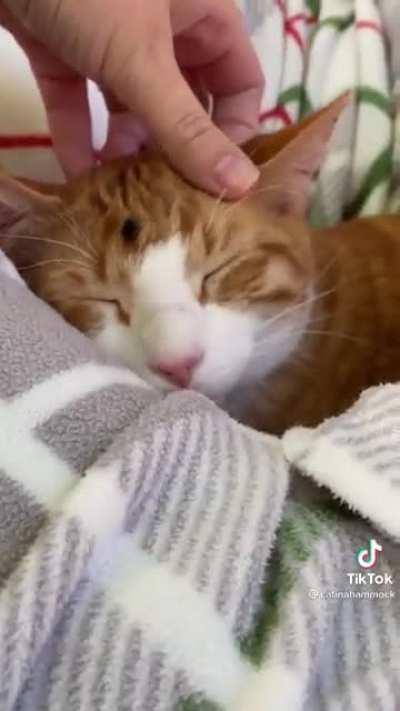 vibing in the hammock