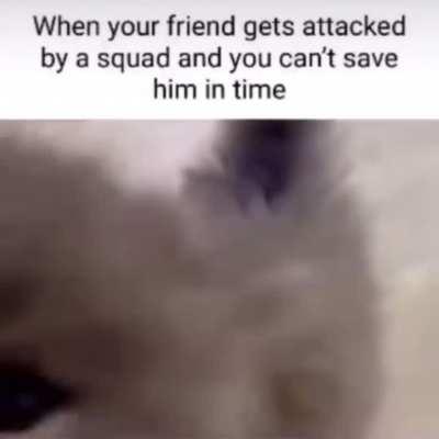 Fort when the Sentry Kit