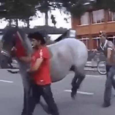 Horse justice