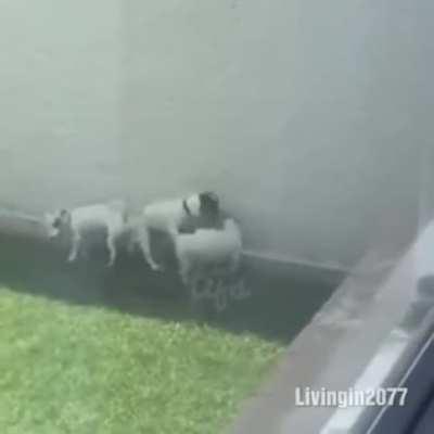 Своя атмосфера